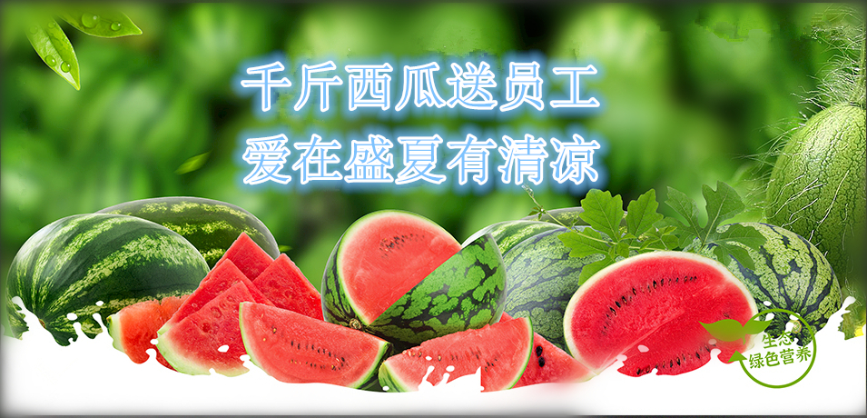 通達軟件公司： 千斤西瓜送員工，愛在盛夏有清涼